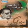 TERE BINA ZINDAGI SE - GULZAR - The Poetic Genius