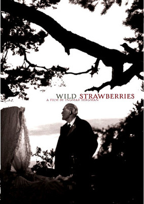 Buy Wild Strawberries: Av Media