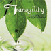 Tranquility: Music For Yoga & Meditation / Various
