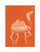 Karunavan Animal Kingdom Camel Jumbo Memo Pad Hard Bound