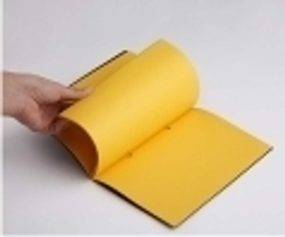 Rubberband Slim Series B5 Notebook: Diary Notebook Buy Rubberband Slim Series B5 Notebook: Diary Notebook