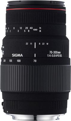 Buy Sigma 70-300mm F4-5.6 APO DG Macro (Motorized for Canon Digital SLR) Lens: Lens
