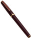 Platinum Standard Fountain Pen