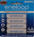 Sanyo (Pre-Charged) 4HR-3UTG-SECP BP Rechargeable Battery