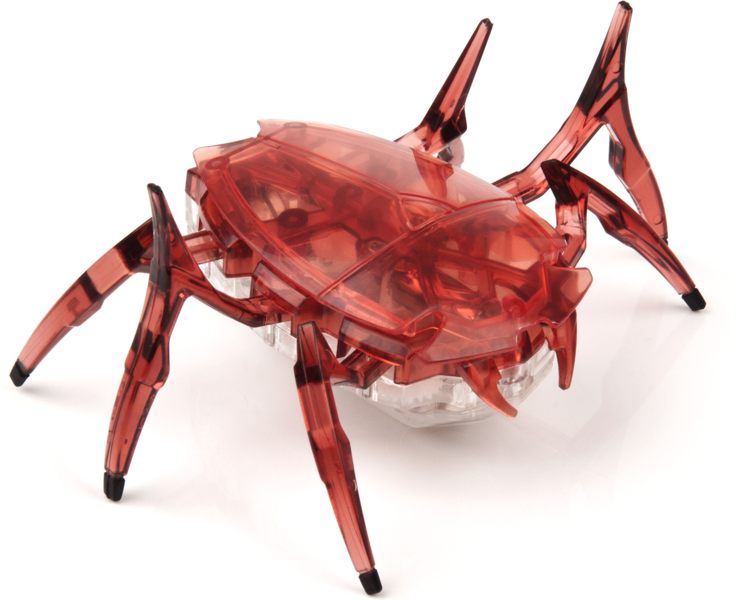 Hexbug Price list in India. Buy Hexbug Online at best price in India ...
