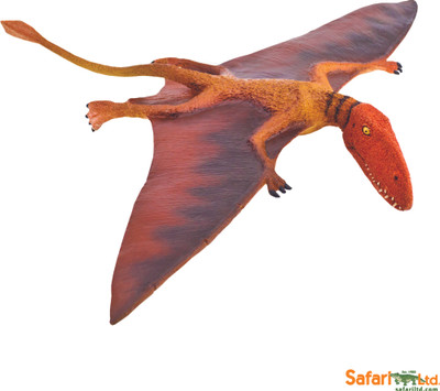Safari Ltd Dimorphodon Safari Ltd Dimorphodon
