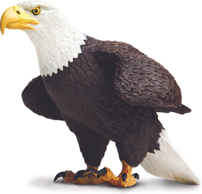 Safari Ltd IC Bald Eagle Safari Ltd IC Bald Eagle