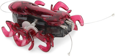 hexbug ant