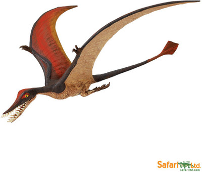 Safari Ltd Ws Pw Rhamphorhynchus