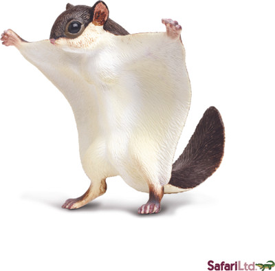 Safari Ltd Ic Flying Squirrel