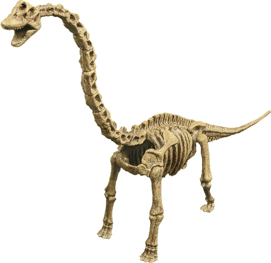 Geoworld Dino Excavation Kit Brachiosaurus Skeleton Dino Excavation