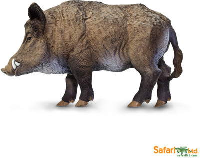 Safari Ltd Ws Wildlife Boar Safari Ltd Ws Wildlife Boar