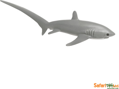 Safari Ltd Thresher Shark Safari Ltd Thresher Shark