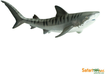 Safari Ltd Ws Sea Life Tiger Shark Safari Ltd Ws Sea Life Tiger Shark