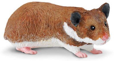 27% OFF on Safari Ltd Hamster 27% OFF on Safari Ltd Hamster