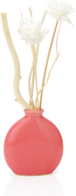 SNG Reed Diffuser Set Air Freshener 30 ml SNG Reed Diffuser Set Air Freshener 30 ml