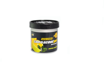 Auto Expressions Can-O-Scent Marine Squash Liquid Air Freshener