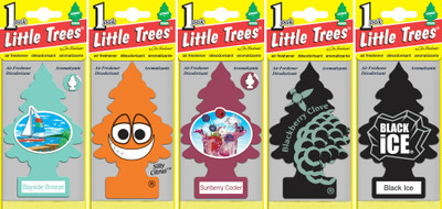 20% OFF on Little Trees Hanging Bayside Breeze,Blackberry Clove,Sunberry Cooler, Black Forest, Silly Citrus Diffuser Air Freshener 5 g
