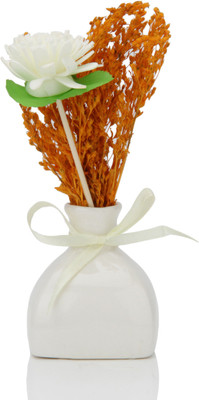 33% OFF on SNG Reed Diffuser Set Air Freshener 500 g 33% OFF on SNG Reed Diffuser Set Air Freshener 500 g
