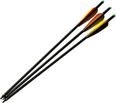 7% OFF on AdraXx Carbon Fibre With 300 Spine (Set of 3) Arrow 7% OFF on AdraXx Carbon Fibre With 300 Spine (Set of 3) Arrow