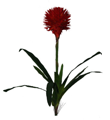 55% OFF on Pollination King Flower Red Assorted Artificial Flower 55% OFF on Pollination King Flower Red Assorted Artificial Flower