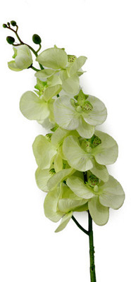 2% OFF on Gifts By Meeta Green Assorted Artificial Flower