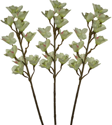 36% OFF on PolliNation Giant Cymbidium Green Assorted Artificial Flower 36% OFF on PolliNation Giant Cymbidium Green Assorted Artificial Flower