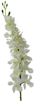 40% OFF on Gifts By Meeta White Orchids Artificial Flower 40% OFF on Gifts By Meeta White Orchids Artificial Flower