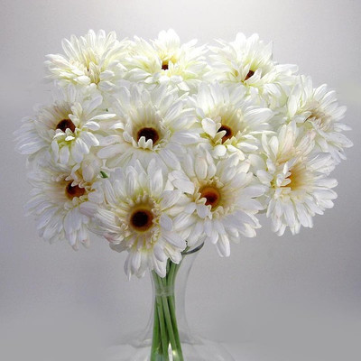 50% OFF on Amiya Garden White Gerbera Artificial Flower 50% OFF on Amiya Garden White Gerbera Artificial Flower