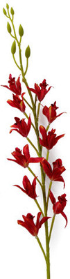 41% OFF on Gifts By Meeta Red Orchids Artificial Flower 41% OFF on Gifts By Meeta Red Orchids Artificial Flower