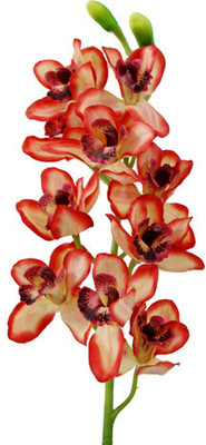 41% OFF on Gifts By Meeta Red, White Assorted Artificial Flower 41% OFF on Gifts By Meeta Red, White Assorted Artificial Flower