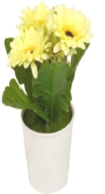 53% OFF on Flowers Forever Yellow Gerbera Artificial Flower with Pot 53% OFF on Flowers Forever Yellow Gerbera Artificial Flower with Pot