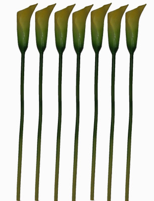 36% OFF on Pollination Calalily Yellow Lily Artificial Flower 36% OFF on Pollination Calalily Yellow Lily Artificial Flower