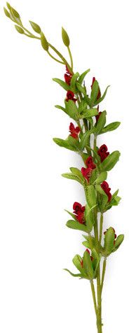 41% OFF on Gifts By Meeta Green, Red Orchids Artificial Flower