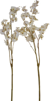 9% OFF on Fab5 Multicolor Assorted Artificial Flower 9% OFF on Fab5 Multicolor Assorted Artificial Flower