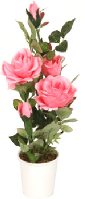 53% OFF on Flowers Forever Pink Rose Artificial Flower with Pot 53% OFF on Flowers Forever Pink Rose Artificial Flower with Pot