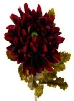 67% OFF on Flowers Forever Single Mum Maroon Assorted Artificial Flower 67% OFF on Flowers Forever Single Mum Maroon Assorted Artificial Flower