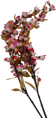 9% OFF on Fab5 Multicolor Assorted Artificial Flower 9% OFF on Fab5 Multicolor Assorted Artificial Flower