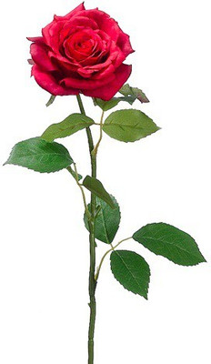 50% OFF on Amiya Garden Red Rose Artificial Flower