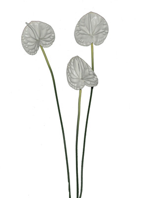 67% OFF on PolliNation Anthurium White Assorted Artificial Flower 67% OFF on PolliNation Anthurium White Assorted Artificial Flower