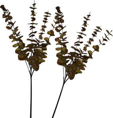 53% OFF on Pollination Eucalyptus Brown Assorted Artificial Flower 53% OFF on Pollination Eucalyptus Brown Assorted Artificial Flower