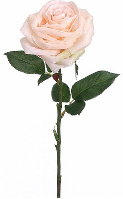 50% OFF on Amiya Garden Pink Rose Artificial Flower 50% OFF on Amiya Garden Pink Rose Artificial Flower