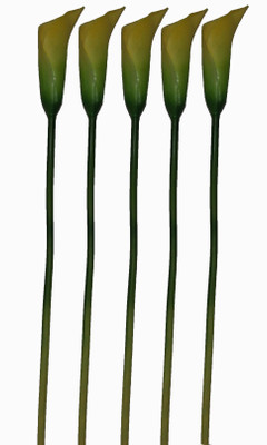 36% OFF on Pollination Calalily Yellow Lily Artificial Flower 36% OFF on Pollination Calalily Yellow Lily Artificial Flower