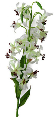 40% OFF on Gifts By Meeta White Orchids Artificial Flower 40% OFF on Gifts By Meeta White Orchids Artificial Flower