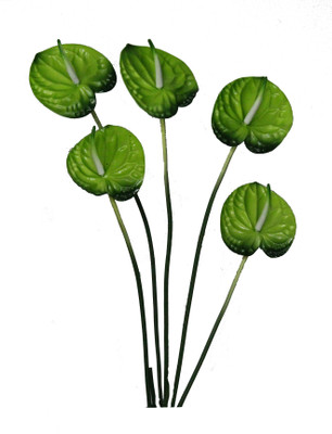 70% OFF on Pollination Anthurium Green Assorted Artificial Flower 70% OFF on Pollination Anthurium Green Assorted Artificial Flower