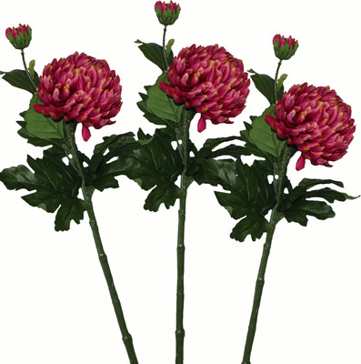50% OFF on Pollination Crysanthimum Pink Assorted Artificial Flower 50% OFF on Pollination Crysanthimum Pink Assorted Artificial Flower