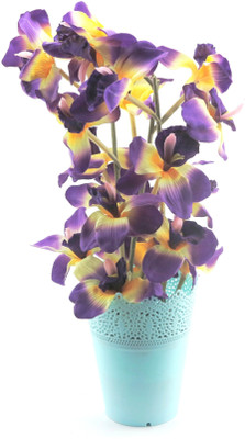 14% OFF on Importwala Cymbodium Orchid Arrangement Purple Orchids Artificial Flower with Pot 14% OFF on Importwala Cymbodium Orchid Arrangement Purple Orchids Artificial Flower with Pot