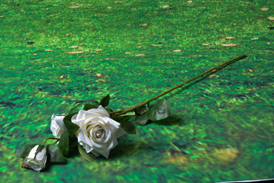 63% OFF on Enfin Homes (ENF8C443) White Rose Artificial Flower