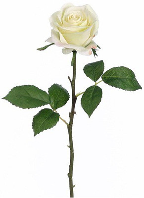50% OFF on Amiya Garden Yellow, White Rose Artificial Flower