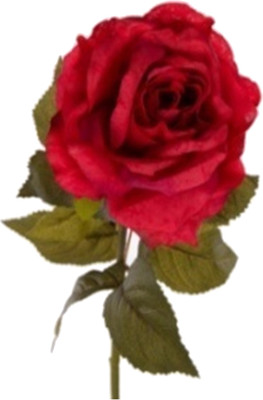 65% OFF on Flowers Forever Classical Large Dyce Red Rose Artificial Flower
